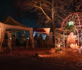 Foto: Andreas Cichini